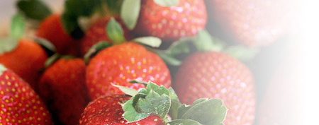 strawberry of burgundy - Liqueur